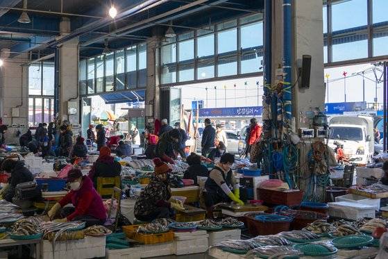동해안 최대 규모를 자랑하는 죽도시장. 대구·오징어를 비롯해 온갖 갯것이 손님을 맞는다.