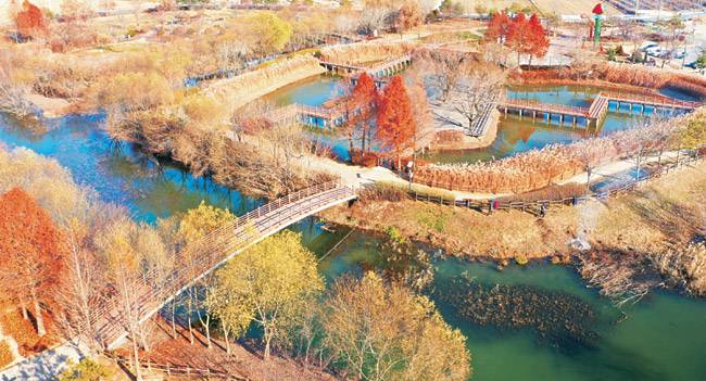 늦가을 색으로 물든 탑정호 수변생태공원.