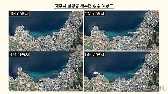 제주도 삼양동 일대의 해수면 상승 시나리오. 현재 탄소배출량을 유지할 때(기후변화시나리리오 RCP 8.5) 오는 2100년이면 제주도 지역 해수면은 약 1m가량 상승할 것으로 예상된다. 이때 삼양해수욕장은 바닷물에 잠겨 사라지게 된다. 이어 2200년, 2300년이 되면서 해수면 높이가 상승하게 되면 삼양동 일대가 물에 잠기는 비율은 점차 늘어난다. [허연주, 변정하 디자이너, 네이버 지도 갈무리]