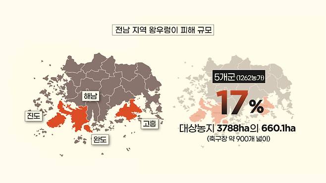 2020년 왕우렁이 피해 심각지역. [허연주·변정하 디자이너, 자료=농촌진흥청]