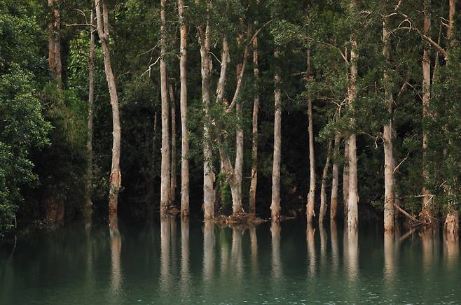 싱문 컨트리 파크 [홍콩관광청 제공]
