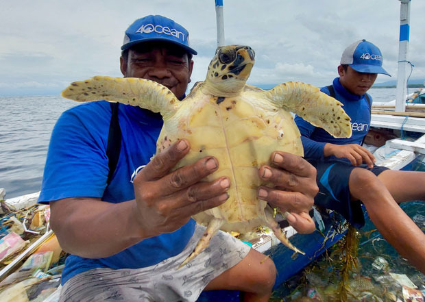 대모거북은 세계자연보전연맹(IUCN) 적색목록에 멸종위기 위급(CR)종으로 올라 있다./사진=포오션