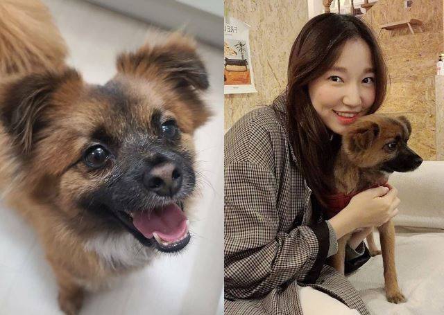 건우 작은누나 최세화씨와 반려견 건우. 건우는 6개월간의 임시보호를 거쳐 최씨 집안의 막내가 되었다.