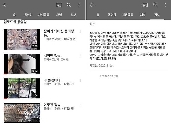 채널에는 고양이를 포획해 괴롭히거나 포박하고 함부로 다루는 모습의 영상들이 게시돼 있었다. 유튜브 채널 갈무리