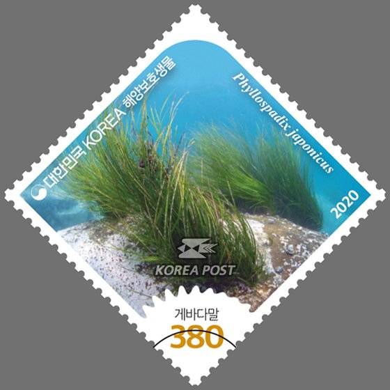 해양보호생물 세 번째 묶음으로 발행된 ‘게바다말’ 우표(2020)