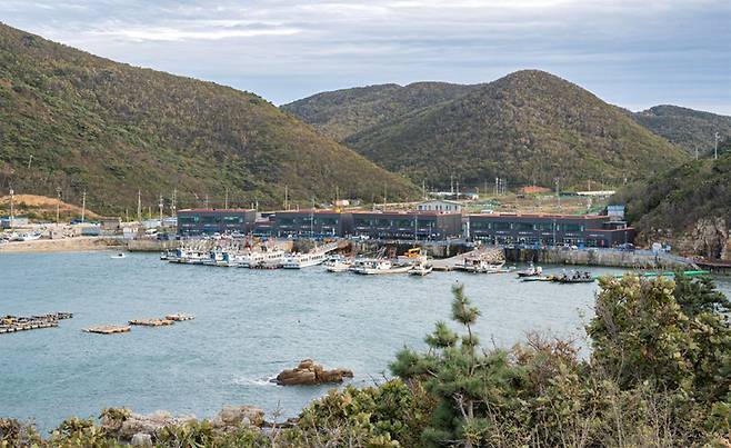 해안 전망대에서 바라본 두무진 포구