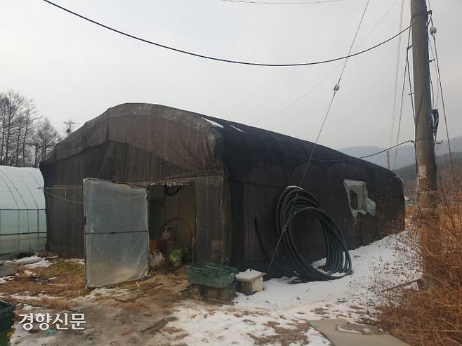 On December 23, there is still some snow in front of the plastic greenhouse in Pocheon-si, Gyeonggi-do, where the migrant worker A died in his sleep. Jeon Hyeon-jin