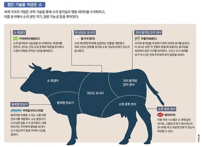 과학동아DB&nbsp;