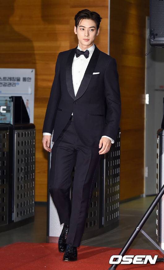 [OSEN=박준형 기자] 30일 오후 서울 상암동 MBC 사옥에서 '2019 MBC 연기대상'이 진행됐다.차은우가 입장하고 있다./ soul1014@osen.co.kr