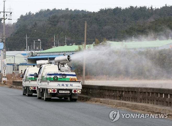 하천 주변 소독 (경주=연합뉴스) 손대성 기자 = 27일 경북 경주시 천북면 하천 주변에서 방역당국 관계자가 소독약을 뿌리고 있다.      천북면에서는 최근 야생 조류에 이어 산란계 농장에서 잇따라 고병원성 조류인플루엔자(AI)가 검출됐다.      경주시는 29일까지 이 농원과 반경 3㎞ 이내 농장에서 키우는 닭 20만 8천여 마리를 예방 차원에서 살처분할 계획이다. 2020.12.27 sds123@yna.co.kr