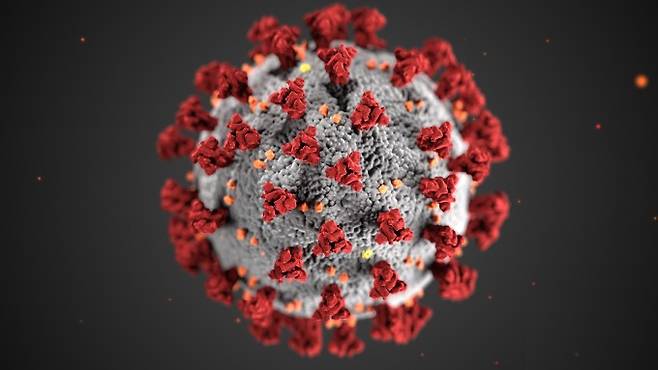 코로나19 변이 바이러스가 지난해 10월부터 이미 미국에 퍼졌을 수 있다는 분석이 나왔다. 미국 질병통제예방센터(CDC) 제공