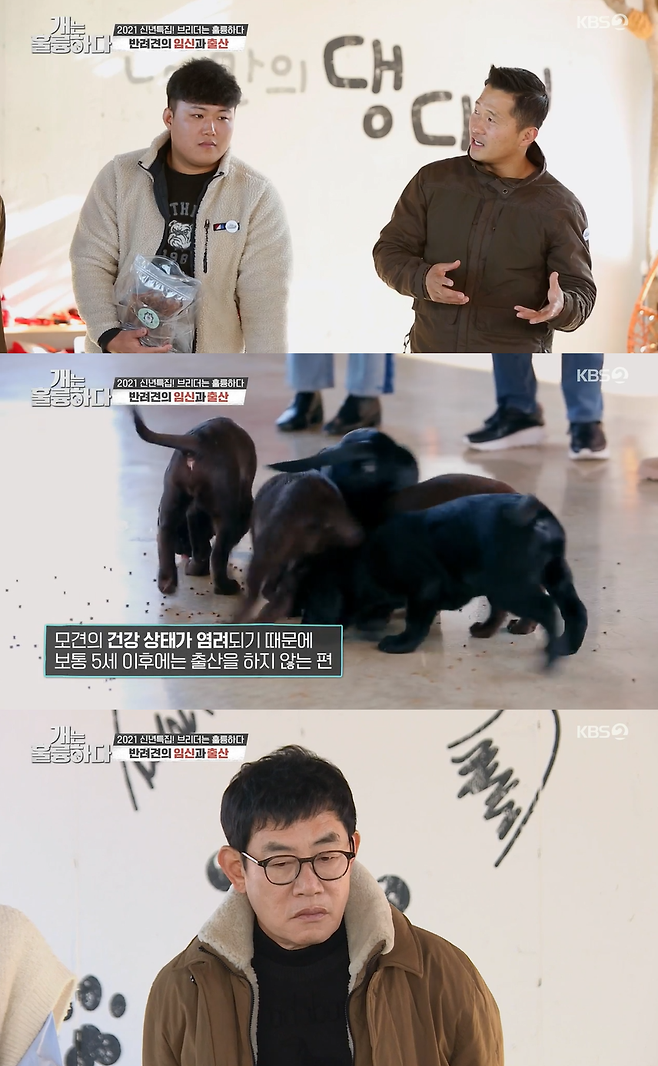 KBS2 방송화면 캡처