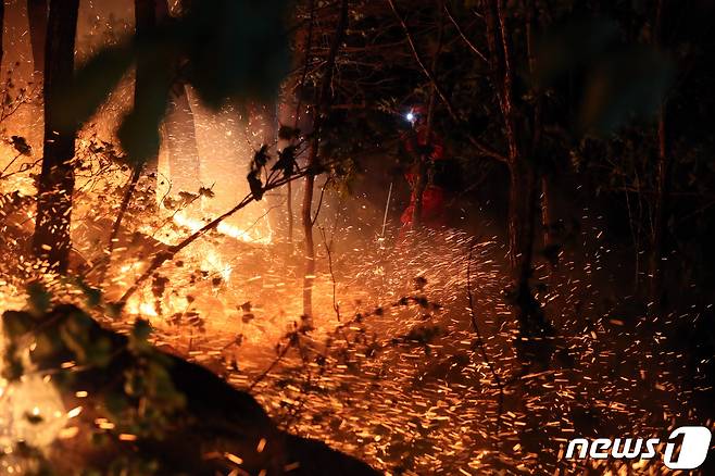 산불. (자료 사진)© 뉴스1