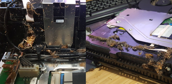 (해외에서도 PS4에 바퀴벌레가 그득했던 사례가 있다... 극혐 ㅠ_ㅠ)