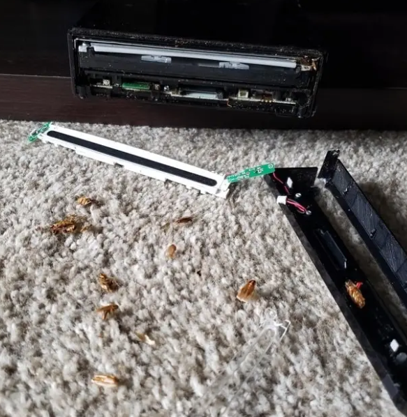 (닌텐도 위를 뜯었을 뿐인데.. 바퀴벌레 가족들이 인사를 한다.. ㅠ_ㅠ)