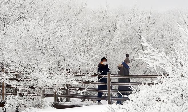 제주도에 첫 한파경보가 발효된 6일 제주 한라산 1100고지 휴게소를 찾은 사람들이 겨울 정취를 즐기고 있다. 뉴스1