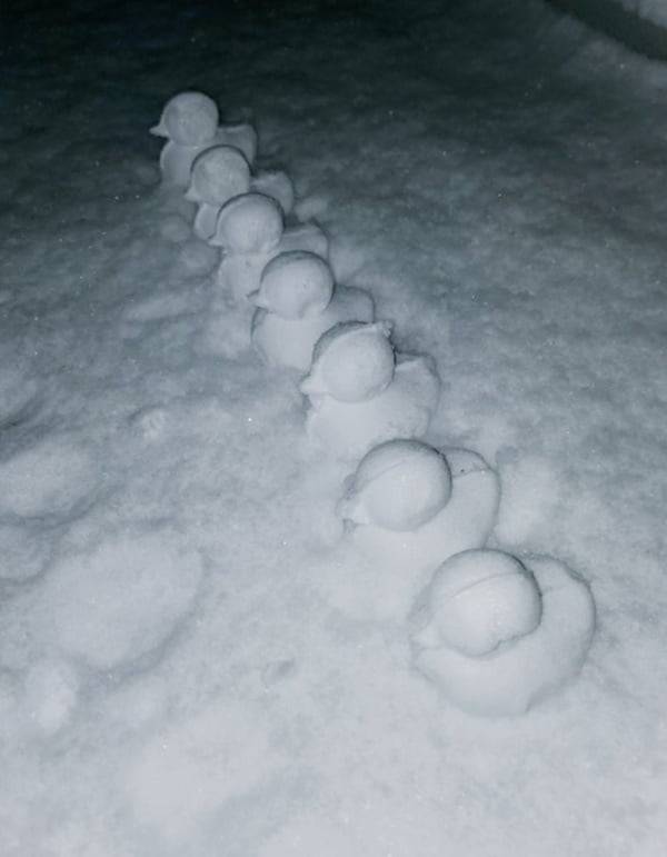 오리 눈집게 / 사진 = 방탄소년단 SNS 제공