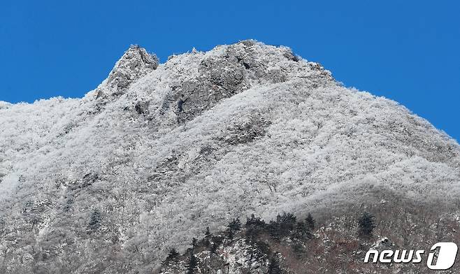 거창군  남덕유산 눈 내린 모습. © News1