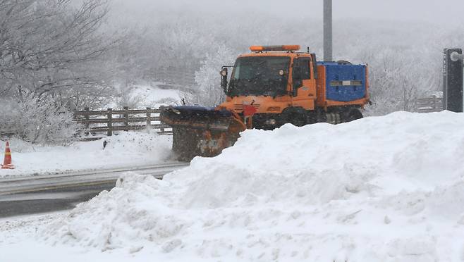 제주도 산지에 밤부터 대설특보가 예보된 6일 오전 한라산 1100도로에서 제설차량이 눈을 치우고 있다. 연합뉴스