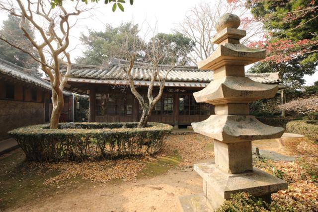 고택과 고목, 부도가 조화를 이룬 김양제 고택. ⓒ박준규