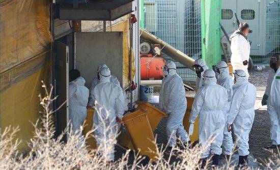 H5형 조류인플루엔자(AI) 항원이 검출된 경기도 화성시의 한 산란계 농장에서 12월 17일 오후 관계자들이 살처분 작업을 하고 있다. [이미지출처=연합뉴스]