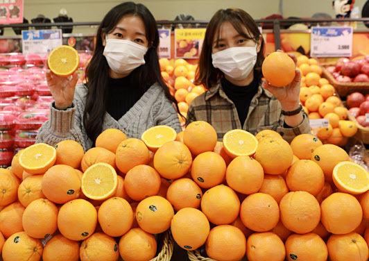 서울시 중구 봉래동에 위치한 롯데마트 서울역점에서 모델들이 ‘캘리포니아산 오렌지’를 홍보하고 있다(사진=롯데마트)