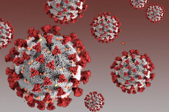 코로나 바이러스는 표면의 돌기(스파이크, 붉은색) 단백질을 인체 세포에 결합시키고 안으로 침투한다. 영국과 남아공에서 나타난 변이 바이러스는 이 스파이크 댠백질을 만드는 유전자에 돌연변이가 생겨 전염력이 세졌다./CDC