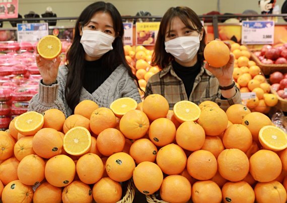 서울시 봉래동에 위치한 롯데마트 서울역점에서 모델들이 '캘리포니아산 오렌지'를 홍보하고 있다.