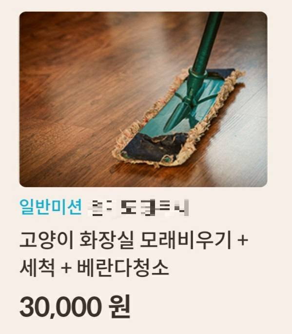 한 심부름 어플리케이션에 올라온 고양이 화장실, 베란다 청소 게시물