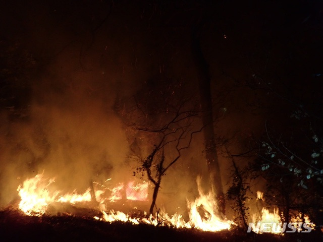 [부산=뉴시스] 10일 오전 4시 24분께 부산 수영구 배산 3부 능선에서 원인이 밝혀지지 않은 불이 났다. (사진=부산소방재난본부 제공)