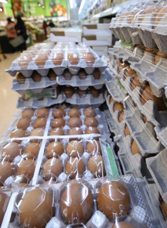 [이미지출처=연합뉴스]