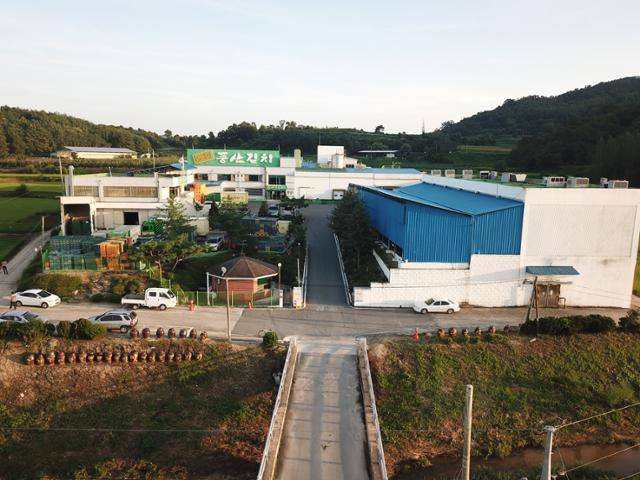 안동시 풍산읍 풍산김치공장 전경.
