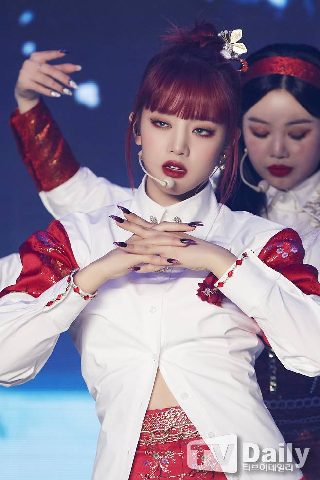 티브이데일리 포토