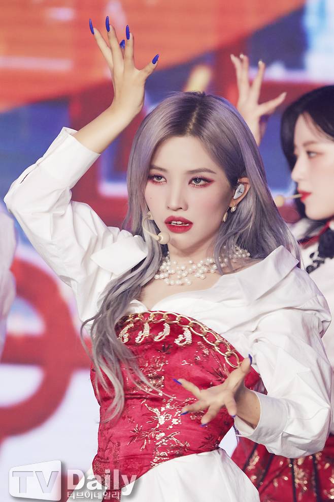 티브이데일리 포토