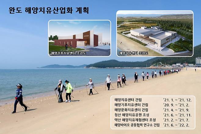 '해양치유산업 이렇게…' [완도군 제공·재판매 및 DB 금지]