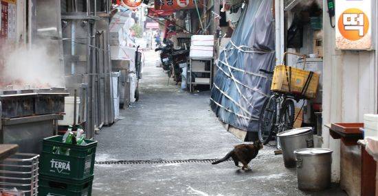 [이미지출처=연합뉴스]
