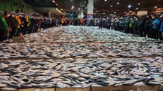 지난 4일 부산 공동어시장에서 새해 첫 경매가 진행되고 있다.