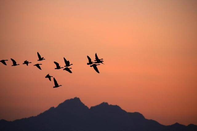 김포공항 주변의 농지는 경인지역 생태계의 보고다. 그 중 절반 가량이 3기 신도시 대장지구와 계양지구로 됐다. 최성용 작가 제공
