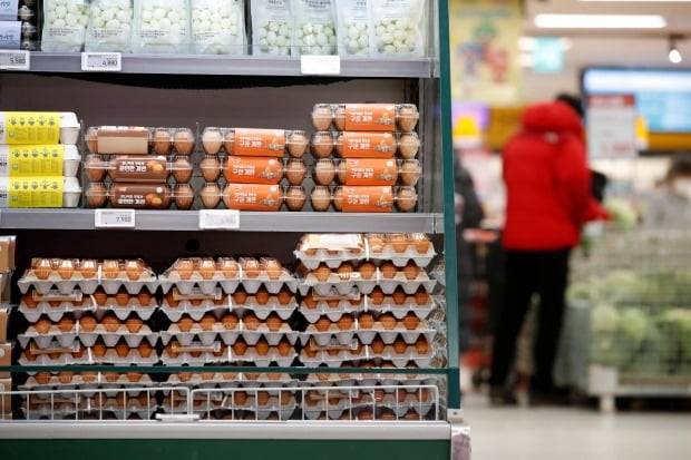 지난 11일 오후 서울시내의 한 대형마트에 계란이 진열돼 있다. /사진=뉴스1
