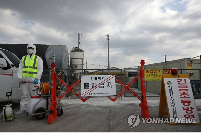 AI가 발생한 가금농장 통제. 연합뉴스