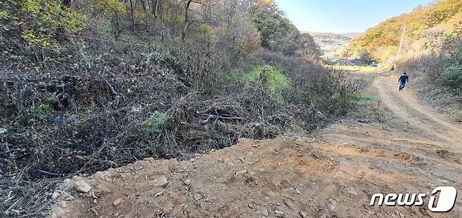 지난해 불법으로 산지가 훼손된 연천군 백학면의 야산. (독자 제공)© 뉴스1