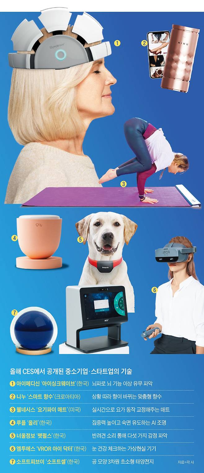 /그래픽=김현국