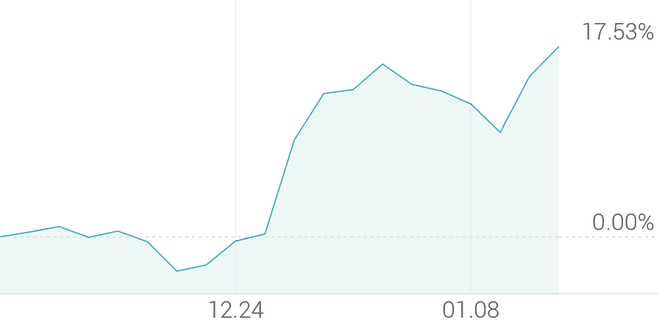 1개월 등락률 +17.41%