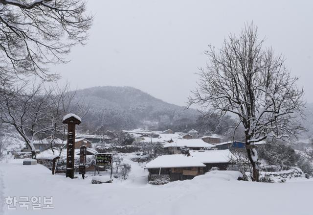 하얗게 눈에 덮인 금곡영화마을. 1950~60년대 산골 분위기를 간직하고 있어 여러 편의 영화를 촬영한 마을이다.
