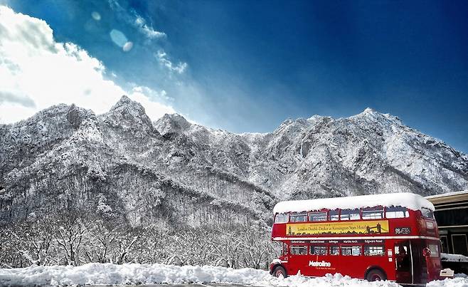 강원도 켄싱턴 설악