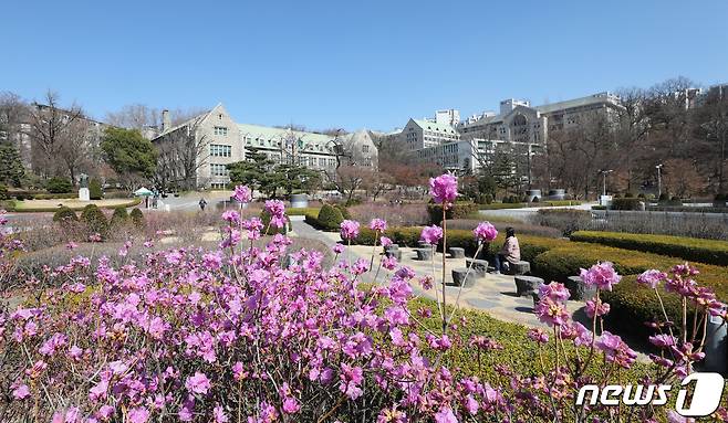 지난해 3월16일 신종 코로나바이러스 감염증(코로나19) 여파로 서울 서대문구 이화여대 교정이 썰렁한 모습이다./뉴스1 © News1 박지혜 기자
