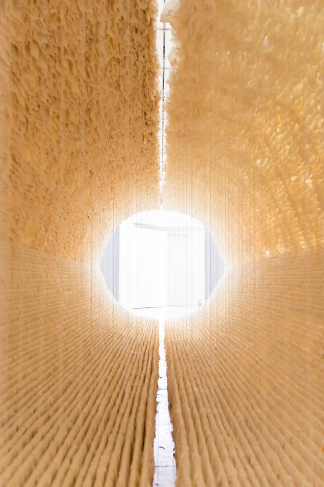 주진스, ‘남과 북’(2020)