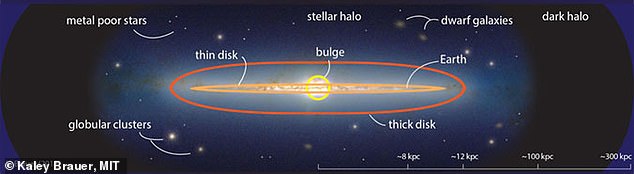 슈퍼지구는 우리 은하의 두꺼운 원반(thick disk·적색 원) 안에 존재한다.(사진=케일리 브라워/MIT)