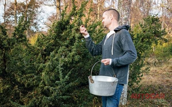 인슈리악의 토지는 진 생산을 위해 필요한 것들도 제공하지만 디펜더 구형과 신형간의 즉흥적인 대결을 위한 자리 역시 함께 제공했다