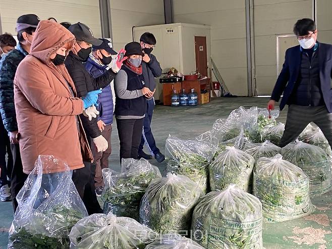 하동 취나물 경매